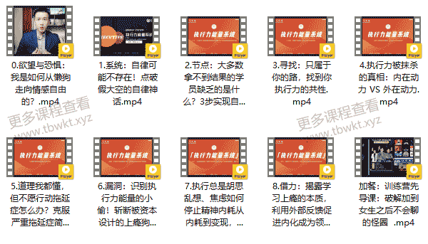 社交光谱莱特《执行力能量系统》无尽的执行和自律能量课程百度网盘下载