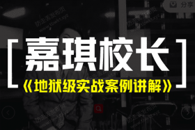 嘉琪《地狱级实战案例讲解》视频课程
