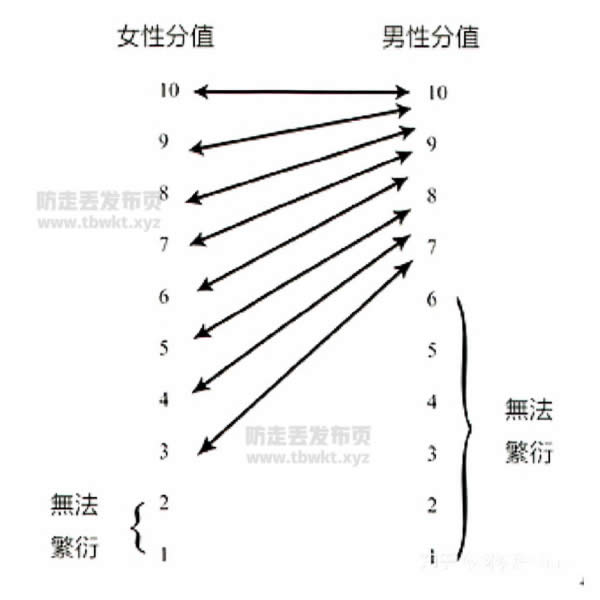 柯李思Chris《红丸觉醒2.0》PDF电子书