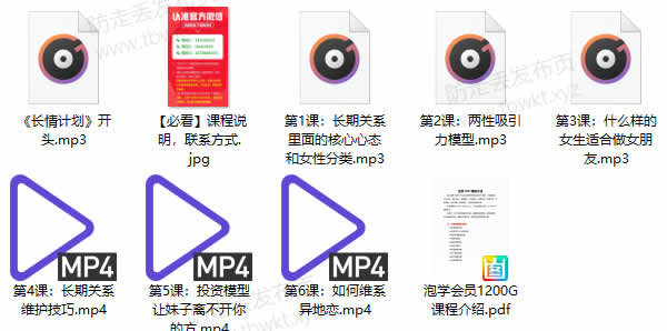 蓝色答案《长情计划》