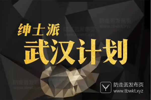 绅士派《武汉计划3天2夜》音频课程