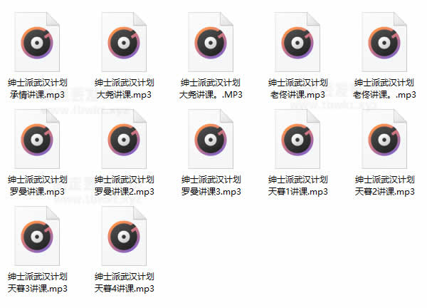 绅士派《武汉计划3天2夜》音频课程