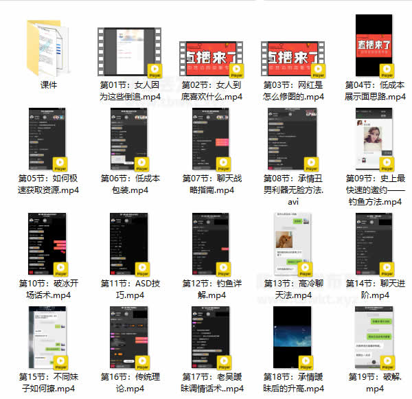 承情老吴速成课《女人倒追》视频课程