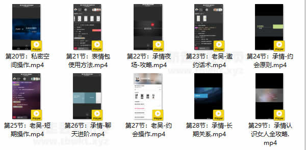 承情老吴速成课《女人倒追》视频课程