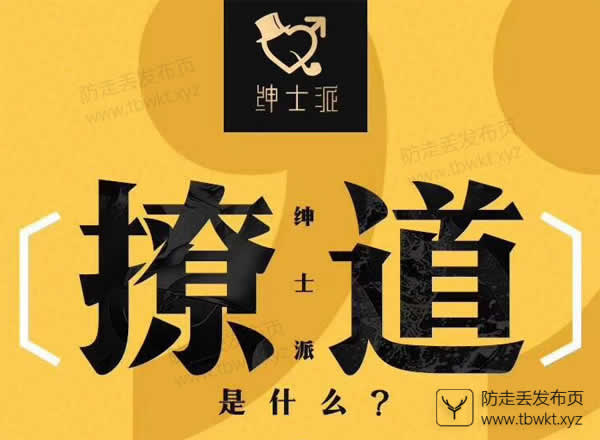 绅士派承情《撩道》视频课程