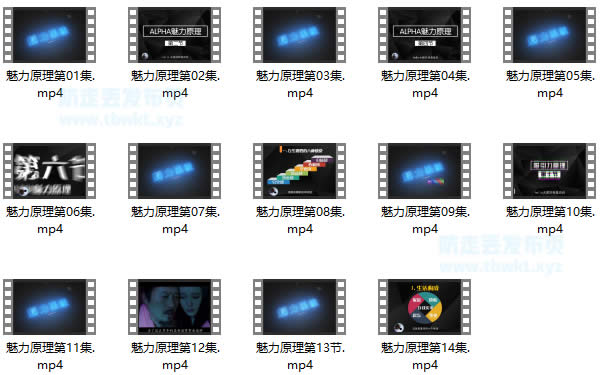 柯李思Chris《2020魅力原理》视频课程