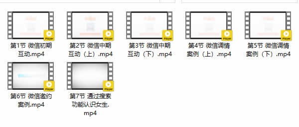 小鹿情感坏男孩《网聊大师》视频课程