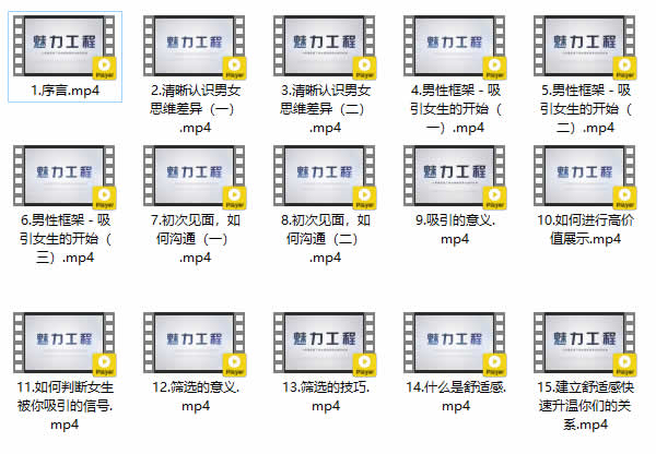 小鹿情感安小妖《极速吸引方程式》视频课程