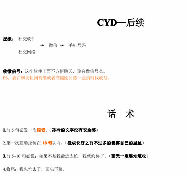 但丁《CYD核心笔记 作弊器》PDF电子书