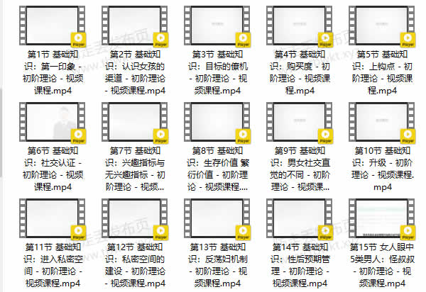 小鹿情感坏男孩《魅力工程1.0》视频课程