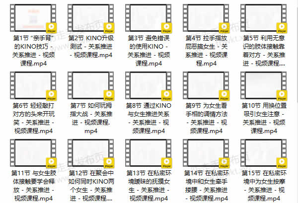 小鹿情感坏男孩《魅力工程1.0》视频课程