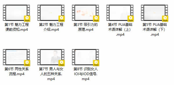 小鹿情感坏男孩《魅力工程2.0》视频课程