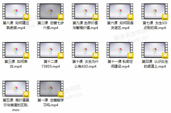 魔卡《内部视频第一季》视频课程