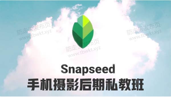 拍照修图《snapseed手机摄影后期私教班》完整课程