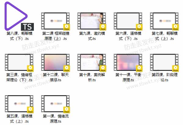 情叔叔《情绪流聊天》视频课程
