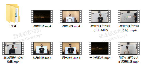 灵魂创造者《极限话术》视频课程