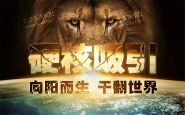 偷先生私教《硬核吸引》视频课程