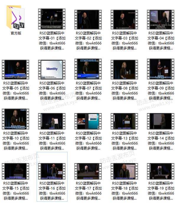 RSD蓝图解码全集中文字幕珍藏版