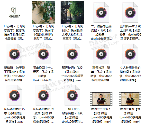 飞凌团队《挽回狙击长期》音频课程