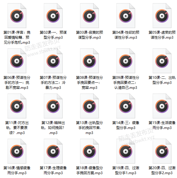 挽回爱情秘籍,预见分手危机音频课程