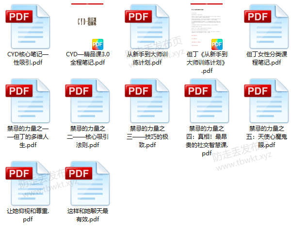 泡妞秘籍《但丁团队书籍》PDF电子书