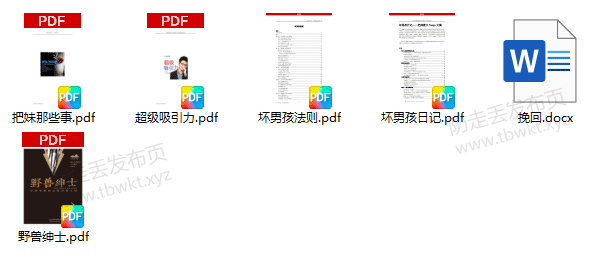 泡妞秘籍《小鹿情感坏男孩书籍》