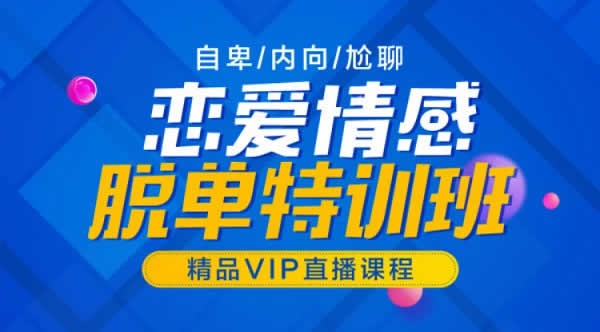 山本教育《素云12期VIP课程》视频课程
