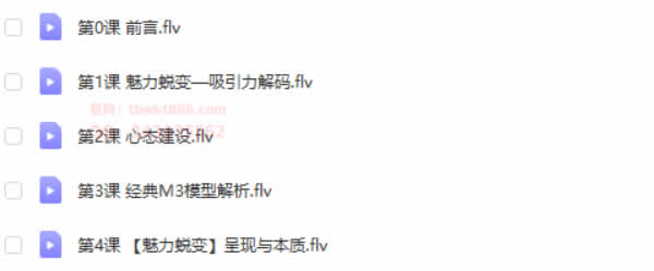 假面团队《完美蜕变课程》视频课程