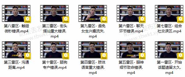 瑞恩《恋爱雷区》视频课程