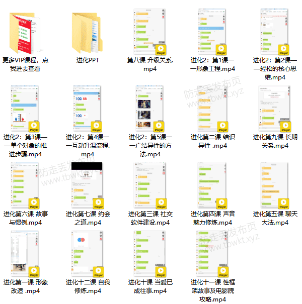 偷先生《进化》视频课程