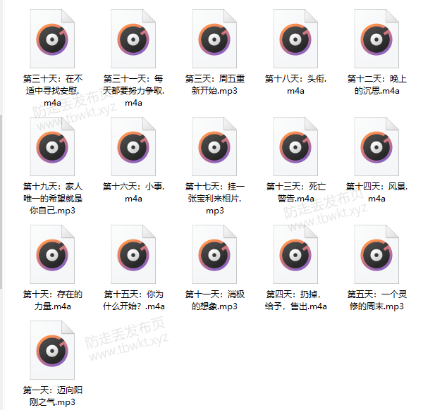 佳航红药丸《男子气概31天》音频教程