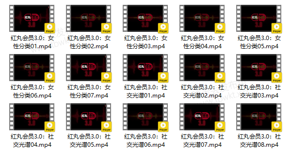 柯李思Chris《红丸会员3.0》视频课程
