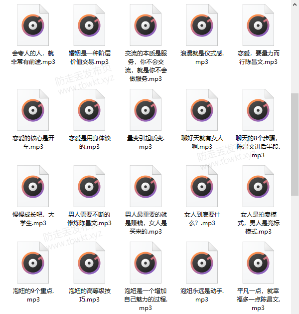 陈昌文《恋爱宝典》音频+PDF电子书课程