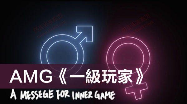 AMG《一級玩家》视频课程
