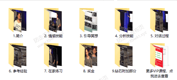 RSD朱利安《高共振沟通》视频课程
