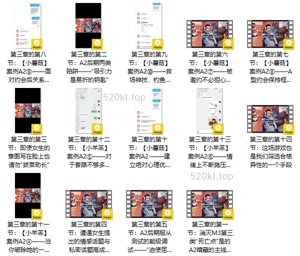 染色体Y先生《黑猫门徒M3核心》附案例课程百度网盘下载