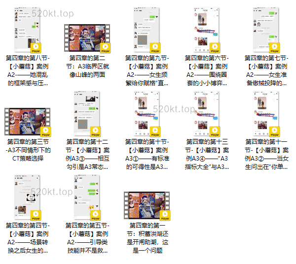 染色体Y先生《黑猫门徒M3核心》附案例课程百度网盘下载