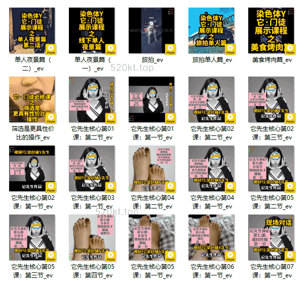 染色体《它先生门徒核心课》课程百度网盘下载
