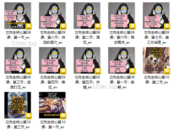 染色体《它先生门徒核心课》课程百度网盘下载